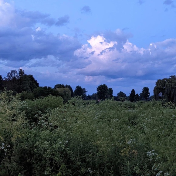 Meet your Posher, Tara - Picture 1 of 3